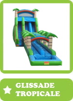 jeu gonflable glissade tropicale